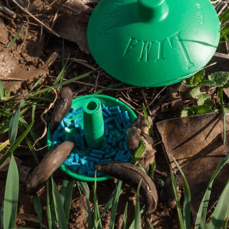 Trappola per Lumache Proteggi Suolo